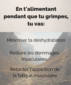 Alimentation escalade