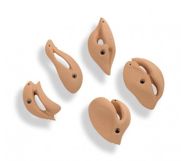 prise descalade type fissures